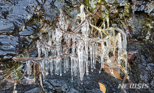 【광주=뉴시스】변재훈 기자 = 무등산국립공원사무소는 지난 17일 오전 광주 북구 금곡동 무등산 800m 지점에 위치한 얼음바위에서 올가을 들어 첫 얼음이 관측됐다고 밝혔다. 2018.11.17. (사진=무등산국립공원사무소 제공) photo@newsis.com