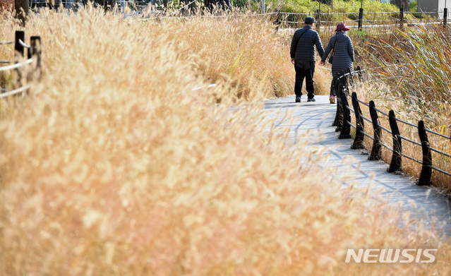 [대구=뉴시스]우종록 기자 = 맑은 날씨를 보인 오후 대구 수성구 두산동 수성못에서 한 노부부가 노랗게 물든 스크령 공원길을 걸으며 산책하고 있다. 2018.11.19. wjr@newsis.com
