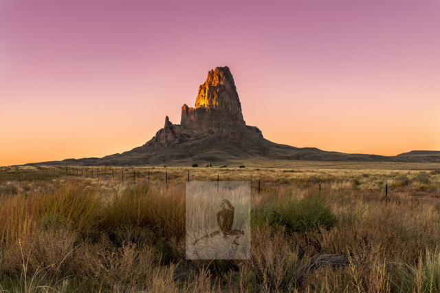 자연 속 벗은 인간, 김남진 사진전 ‘타임 랜드스케이프’ 