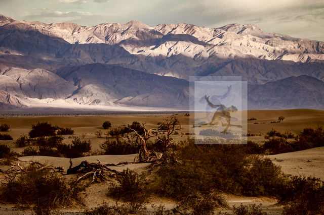 자연 속 벗은 인간, 김남진 사진전 ‘타임 랜드스케이프’ 
