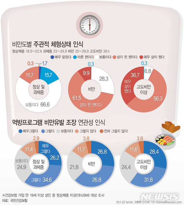 【서울=뉴시스】11월22일 국민건강보험공단이 발표한 '비만에 대한 인식도 조사' (그래픽=안지혜 기자) hokma@newsis.com