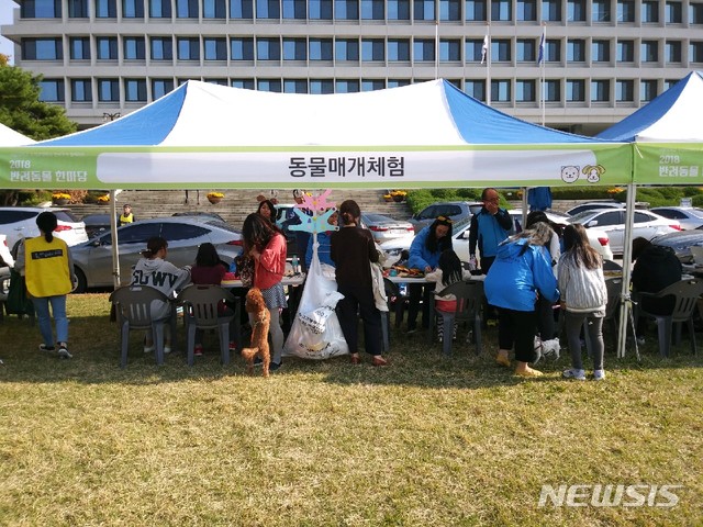 【서울=뉴시스】서울 관악구는 '반려견 행동교정 프로그램'을 운영한다고 27일 밝혔다. 2018.11.27. (사진=관악구 제공)