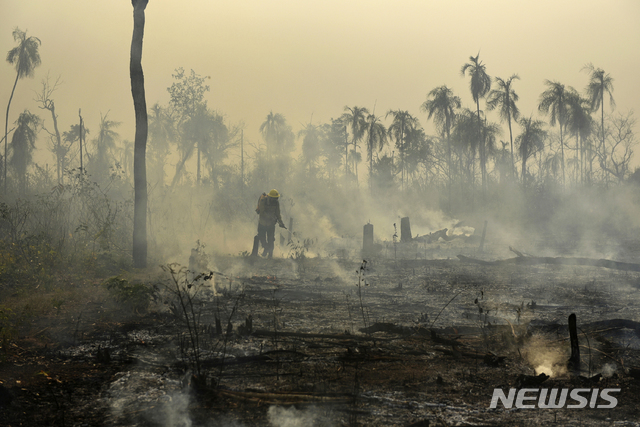 【마라냥 =AP/뉴시스】브라질이 2019년 유엔기후변화회의 개최를 하지 않겠다고 28일 (현지시간) 발표했다. 사진은 2017년 9월 26일 브라질 마라냥 인근 아마존 열대우림에서 일어난 화재를 진압 중인 환경운동가. 2018.11.29.