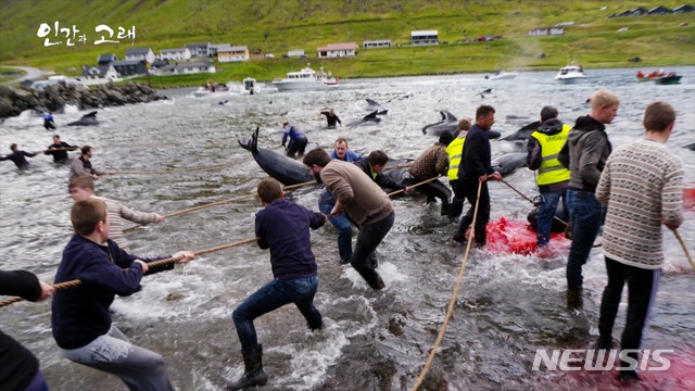 울산문화방송 창사 50주년 특집다큐 '인간과 고래'의 한 장면
