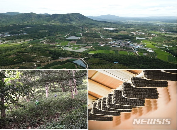 【세종=뉴시스】사진 상단은 의성군 농업유산지역 경관. 하단 왼쪽은 청태전을 만들기 위한 채다, 오른쪽은 청태전 보관 모습. 2018.11.29. (사진 =농림축산식품부 제공)