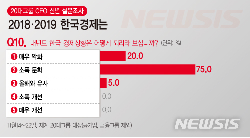 【서울=뉴시스】20대그룹 CEO 신년 설문조사 (그래픽=전진우 기자)