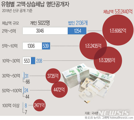 【서울=뉴시스】고액·상습체납 명단공개자 유형별 현황. 자료:국세청