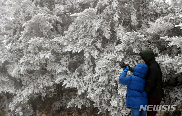 【서귀포=뉴시스】우장호 기자 = 절기상 눈이 가장 많이 내린다는 대설(大雪)인 지난 7일 제주 한라산 1100고지 인근 나뭇가지에 핀 상고대를 배경으로 관광객들이 사진을 찍으며 즐거운 시간을 보내고 있다. 상고대는 영하의 온도에서 대기 중에 있는 안개·서리 등의 미세한 물방울이 나무 등의 차가워진 물체와 만나 생기는 것으로 '나무서리'라고도 부른다. 2018.12.07. woo1223@newsis.com