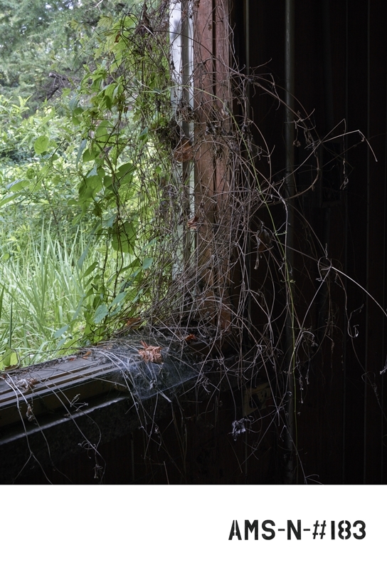 백승우 '기억법'