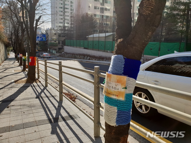 수지구 상현1동 통학로 주변 가로수에 입혀진 겨울옷