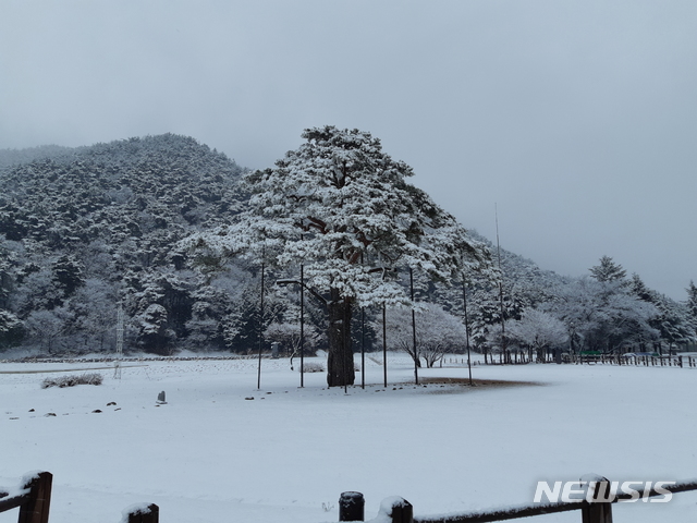 인천 영하 1~3도, 적설량 최대 3cm