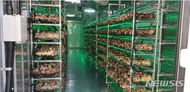  【부산=뉴시스】허상천 기자 = 부산시는 20일 오후 연산동에 위치한 화신사이버대학교 부지에서 ‘커뮤니티 비즈니스’ 활성화를 위한 사업인 ‘스마트팜’ 제1호 개소식을 갖고 본격 운영에 돌입한다. 2018.12.20. (사진 = 부산시 제공)&nbsp; photo@newsis.com 