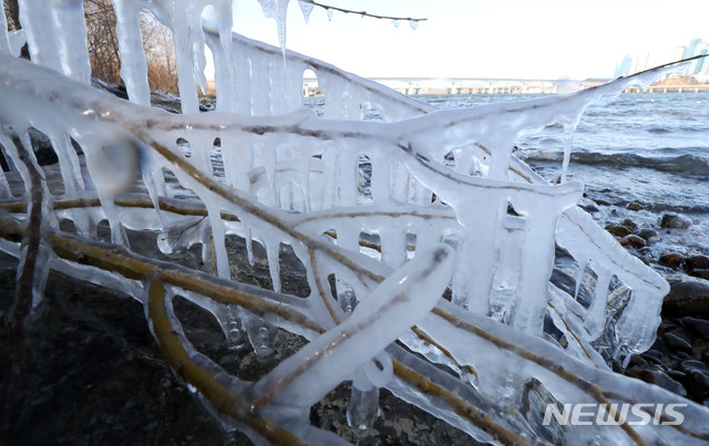 【서울=뉴시스】홍효식 기자 = 전국 대부분 지역에 한파특보가 내려진 29일 오후 서울 여의도 한강변 나뭇가지에 고드름이 달려있다. 2018.12.29. yesphoto@newsis.com