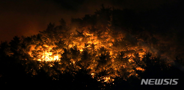 【양양=뉴시스】김경목 기자 = 2일 오전 4시 12시간째 산불이 번지고 있는 강원 양양군 서면 송천리 송천떡마을 뒷산이 붉은 화염으로 뒤덮이고 있다. 양양군에 따르면 오전 3시까지 약 13㏊의 산림이 잿더미가 됐지만 가옥 화재와 인명 피해는 발생하지 않았다. 2019.01.02.&nbsp; photo31@newsis.com 