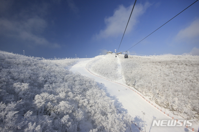 【정선=뉴시스】강원 정선 하이원리조트 스키장(뉴시스 DB)