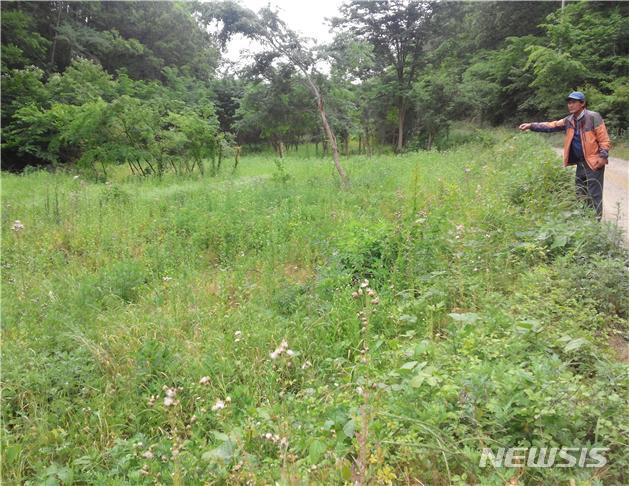 【옥천=뉴시스】이성기 기자 = 자연환경국민신탁이 매입한 충북 옥천군 동이면 석탄리 안터마을 반딧불이 서식지.(사진=자연환경국민신탁 제공) photo@newsis.com