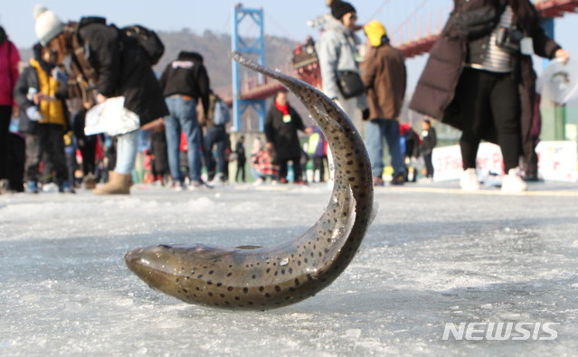 【화천=뉴시스】한윤식 기자 = 13일 오후 강원 화천군 화천천 일원에서 열리는 화천산천어축제장을 찾은 외국인 관광객들이 얼음낚시를 즐기고 있다. 2019.01.13.&nbsp;&nbsp;&nbsp; ysh@newsis.com