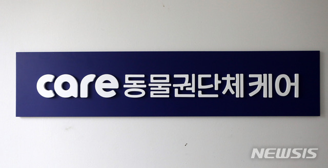【서울=뉴시스】김선웅 기자 = 15일 서울 종로구에 위치한 동물권 단체 '케어'의 모습. 서울시 동물보호과는 케어 사무국 등을 상대로 현장 지도점검을 실시해 케어와 함께 추진한 길고양이 중성화 사업 등을 점검할 예정이다. 논란이 되고 있는 박소연 대표의 개 안락사 문제는 이번 지도 점검 대상이 아니다. 한편 박 대표는 오는 16일 기자회견을 열고 입장을 밝힐 예정이다. 2019.01.15.&nbsp; mangusta@newsis.com