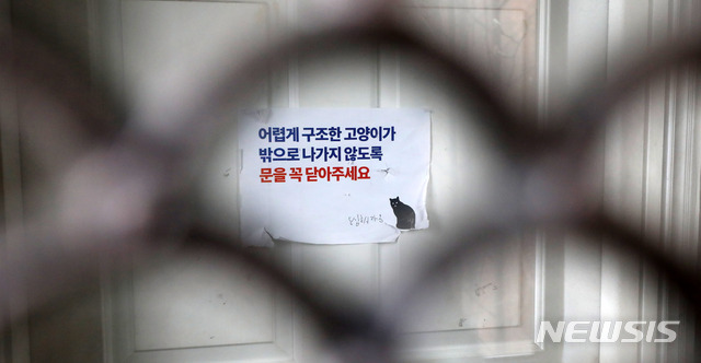 【서울=뉴시스】김선웅 기자 = 15일 서울 종로구에 위치한 동물권 단체 '케어'의 모습. 서울시 동물보호과는 케어 사무국 등을 상대로 현장 지도점검을 실시해 케어와 함께 추진한 길고양이 중성화 사업 등을 점검할 예정이다. 논란이 되고 있는 박소연 대표의 개 안락사 문제는 이번 지도 점검 대상이 아니다. 한편 박 대표는 오는 16일 기자회견을 열고 입장을 밝힐 예정이다. 2019.01.15.&nbsp; mangusta@newsis.com