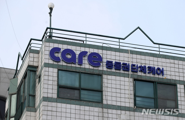 【서울=뉴시스】김선웅 기자 = 15일 서울 종로구에 위치한 동물권 단체 '케어'의 모습. 서울시 동물보호과는 케어 사무국 등을 상대로 현장 지도점검을 실시해 케어와 함께 추진한 길고양이 중성화 사업 등을 점검할 예정이다. 논란이 되고 있는 박소연 대표의 개 안락사 문제는 이번 지도 점검 대상이 아니다. 한편 박 대표는 오는 16일 기자회견을 열고 입장을 밝힐 예정이다. 2019.01.15.&nbsp; mangusta@newsis.com