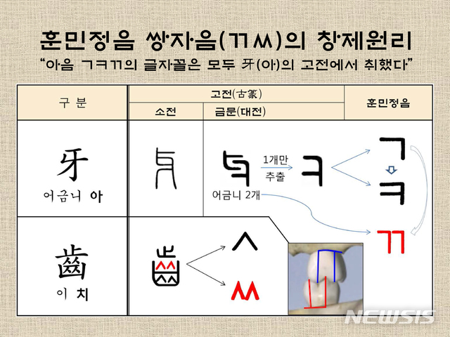 훈민정음 쌍자음 ㄲ의 글자꼴은 어금니 한 쌍을 그린 고전 ‘牙(아)’자에서 착상되었다.