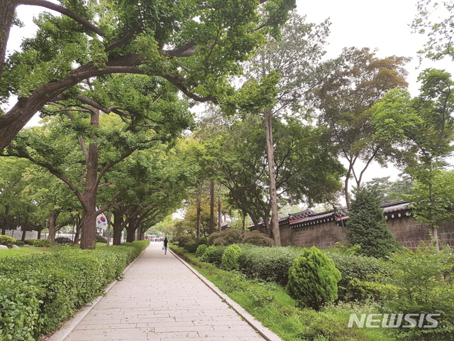 【서울=뉴시스】 청와대 앞길_3-패밀리서울. 2019.01.22. (사진= 서울시 제공)