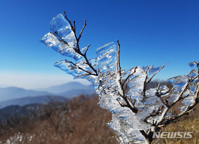 【지리산=뉴시스】 박영태 기자 = 미세먼지 없는 맑은 날씨를 보인 22일 전북 남원 지리산 연하천산장에서 세석평전 사이 종주길 나무 가지에 얼음꽃이 피어있다. 2019.01.22.since1999@newsis.com