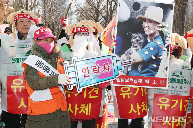 【서울=뉴시스】박미소 기자 = 25일 오후 서울 영등포구 여의도 KB 국민은행 앞에서 열린 '동물보호단체 만행 규탄 집회'에서 전국육견인연합회 회원들이 케어 박소연 대표를 풍자하는 퍼포먼스를 하고 있다. 2019.01.25. misocamera@newsis.com