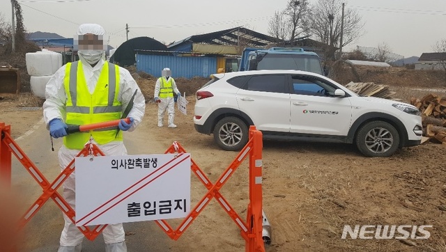 【충주=뉴시스】이병찬 기자 = 31일 간이검사에서 구제역 양성 판정을 받은 충북 충주시 주덕읍 한 축산농가에서 방역본부가 출입을 통제하고 있다. 2019.01.31. bclee@newsis.com