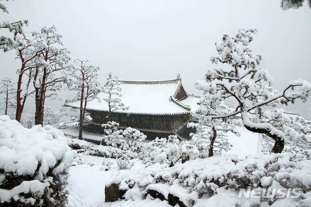 【산청=뉴시스】정경규 기자 = 대설주의보가 내린 31일 경남 산청군 한방테마파크 동의보감촌에도 많은 눈이 내려 색다른 모습을 연출하고 있다.이날 산청군 산청읍은 3cm, 차황면은 9cm의 적설량을 기록했다.2019.01.31.(사진=산청군 제공) photo@newsis.com