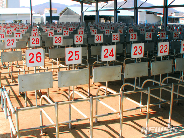 【충주=뉴시스】이병찬 기자 = 1일 구제역 발생 여파로 문을 닫은 충북 충주시 풍동 충주축협 소 경매장에 적막감이 감돌고 있다.2019.02.01.&nbsp; bclee@newsis.com 