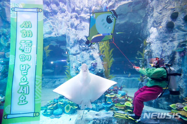 【서울=뉴시스】롯데월드 아쿠아리움