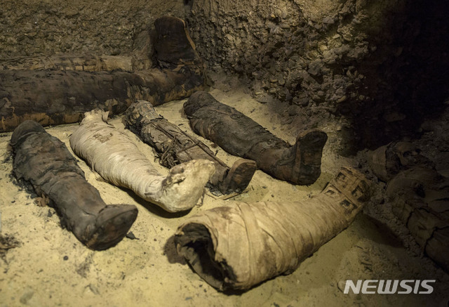 【카이로(이집트)=AP/뉴시스】이집트 민야주에서 발굴된 약 40구의 미라들이 들어 있는 로마 초기 또는 비잔틴 시기 플로레마이오스의 중산측 가족들의 것으로 보이는 미라들이 들어 있는 묘실 내부 모습. 이집트는 2일 미라들과 도기, 파피루스들이 들어 있는 여러 묘실들을 발굴했다고 발표했다. 2019.2.3