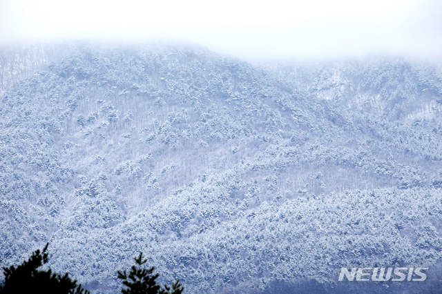 강릉 설경. (사진=뉴시스 DB)