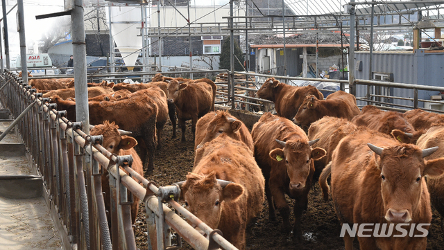 환경公-농협, 축산악취 해결 위해 맞손