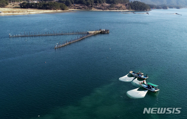 【남해=뉴시스】차용현 기자 = 11일 오전 경남 남해군 삼동면과 창선면을 가로지르는 지족해협에서 낙하산 모양의 물돛을 설치한 어선이 개불을 잡고 있다. 지족해협의 개불잡이는 물돛을 이용해 조류를 따라 흐르며 반대편 수중 바닥에 설치한 갈고리를 끌어 개불을 잡는 것이 특징이다. 2019.02.11.&nbsp; con@newsis.com