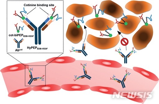 【서울=뉴시스】