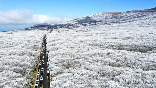 【제주=뉴시스】우장호 기자 = 한낮에도 영하권의 추운 날씨를 보인 17일 제주 한라산 1100고지 탐방로에 상고대가 활짝펴 장관을 이루고 있다. 상고대는 영하의 온도에서 대기 중에 있는 안개·서리 등의 미세한 물방울이 나무 등의 차가워진 물체와 만나 생기는 것으로 '나무서리'라고도 부른다. 2019.02.17. woo1223@newsis.com