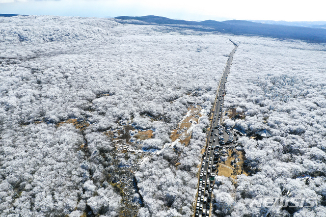 【제주=뉴시스】우장호 기자 = 한낮에도 영하권의 추운 날씨를 보인 17일 제주 한라산 1100고지에 상고대가 활짝핀 가운데 눈꽃 장관을 구경하려는 관광객들의 차량이 도로에 가득하다. 상고대는 영하의 온도에서 대기 중에 있는 안개·서리 등의 미세한 물방울이 나무 등의 차가워진 물체와 만나 생기는 것으로 '나무서리'라고도 부른다. 2019.02.17. woo1223@newsis.com
