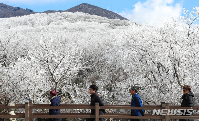 【제주=뉴시스】우장호 기자 = 한낮에도 영하권의 추운 날씨를 보인 17일 제주 한라산 1100고지 탐방로에 상고대가 활짝펴 관광객들의 눈길을 사로잡고 있다. 상고대는 영하의 온도에서 대기 중에 있는 안개·서리 등의 미세한 물방울이 나무 등의 차가워진 물체와 만나 생기는 것으로 '나무서리'라고도 부른다. 2019.02.17. woo1223@newsis.com