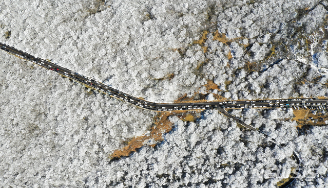 【제주=뉴시스】우장호 기자 = 한낮에도 영하권의 추운 날씨를 보인 17일 제주 한라산 1100고지에 상고대가 활짝핀 가운데 눈꽃 장관을 구경하려는 관광객들의 차량이 도로에 가득하다. 상고대는 영하의 온도에서 대기 중에 있는 안개·서리 등의 미세한 물방울이 나무 등의 차가워진 물체와 만나 생기는 것으로 '나무서리'라고도 부른다. 2019.02.17. woo1223@newsis.com