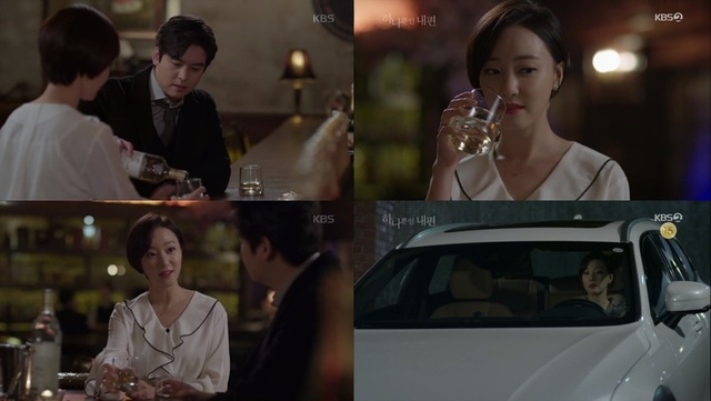 문제의 음주운전 장면, 드라마 '하나뿐인 내편'