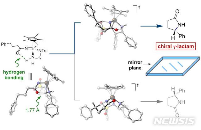 【대전=뉴시스】김양수 기자 = 새로운 이리듐 촉매 반응 메커니즘. 연구진은 개발한 촉매와 반응기질 사이에 수소 결합이 카이랄 락탐을 선택적으로 합성하는데 중요한 역할을 한다는 것을 확인했다. 반응 중간체가 두가지 전이 상태를 지나 각각의 거울상 이성질체로 전환되는데 촉매-기질 사이 수소결합이 극대화되며 2경로 중 윗 경로(파란 화살표)를 선택적으로 따르게 되는 원리다.2019.02.19(사진=IBS 제공) photo@newsis.com