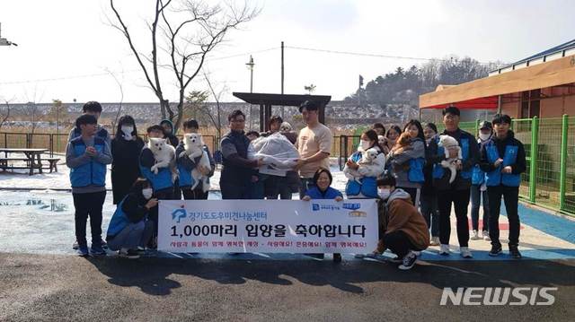 경기도 도우미견나눔센터 입양견 1000마리 돌파