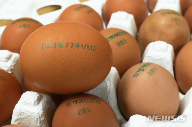 【서울=뉴시스】이윤청 수습기자 = 21일 서울 양천구 서울지방석품의약품안전청 브리핑실에 산란일자가 표기된 달걀이 전시되어 있다. 23일부터 시행되는 산란일자 표시제도에 따라 달걀 생산정보는 산란일자 4자리 숫자를 맨 앞에 추가로 표기해 기존의 6자리(생산농가, 사육환경)에서 10자리로 늘어나게 된다. 2019.02.21. radiohead@newsis.com