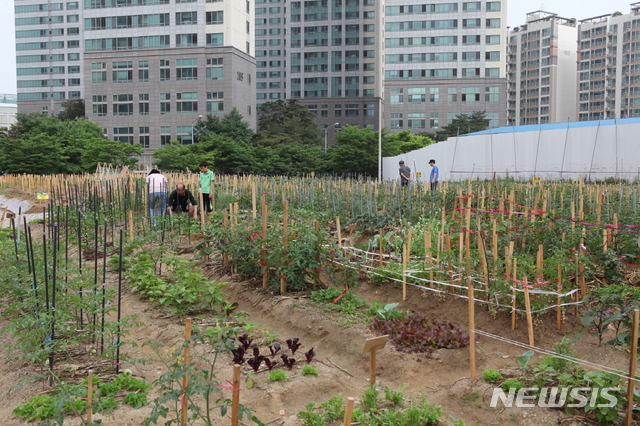 【서울=뉴시스】문래동 도시텃밭. 2019.02.22. (사진= 영등포구 제공)