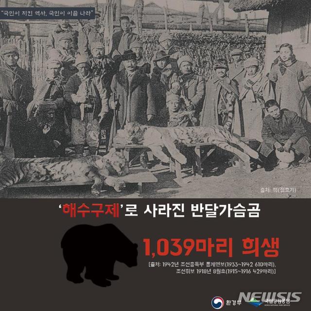 3·1절 설악산 등 백두대간 정상에서 '만세삼창'