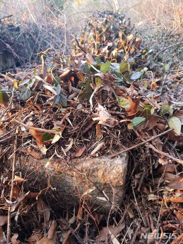 【서울=뉴시스】 전라북도 김제시 금산면에 있는 사립공원 동심원에 낙엽에 덮인 태화관 자재