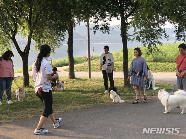 【서울=뉴시스】서울 강동구는 3월 한 달간 반려견 행동전문가가 함께하는 '펫티켓(펫+에티켓) 산책 교육'을 진행한다고 4일 밝혔다. 반려동물 산책 교육 모습. 2019.03.04. (사진=강동구 제공)