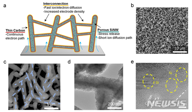 【울산=뉴시스】박일호 기자 = 울산과학기술원은 로드니 루오프 특훈교수 연구진과 포항공과대학교 박수진 교수팀이 고속충전이 가능한 리튬이온 배터리용 실리콘 소재를 개발했다고 6일 밝혔다. 사진은 산호 모양 실리콘-카본 복합체 일체형 전극의 구조. 2019.03.06. (사진=울산과학기술원 제공) photo@newsis.com